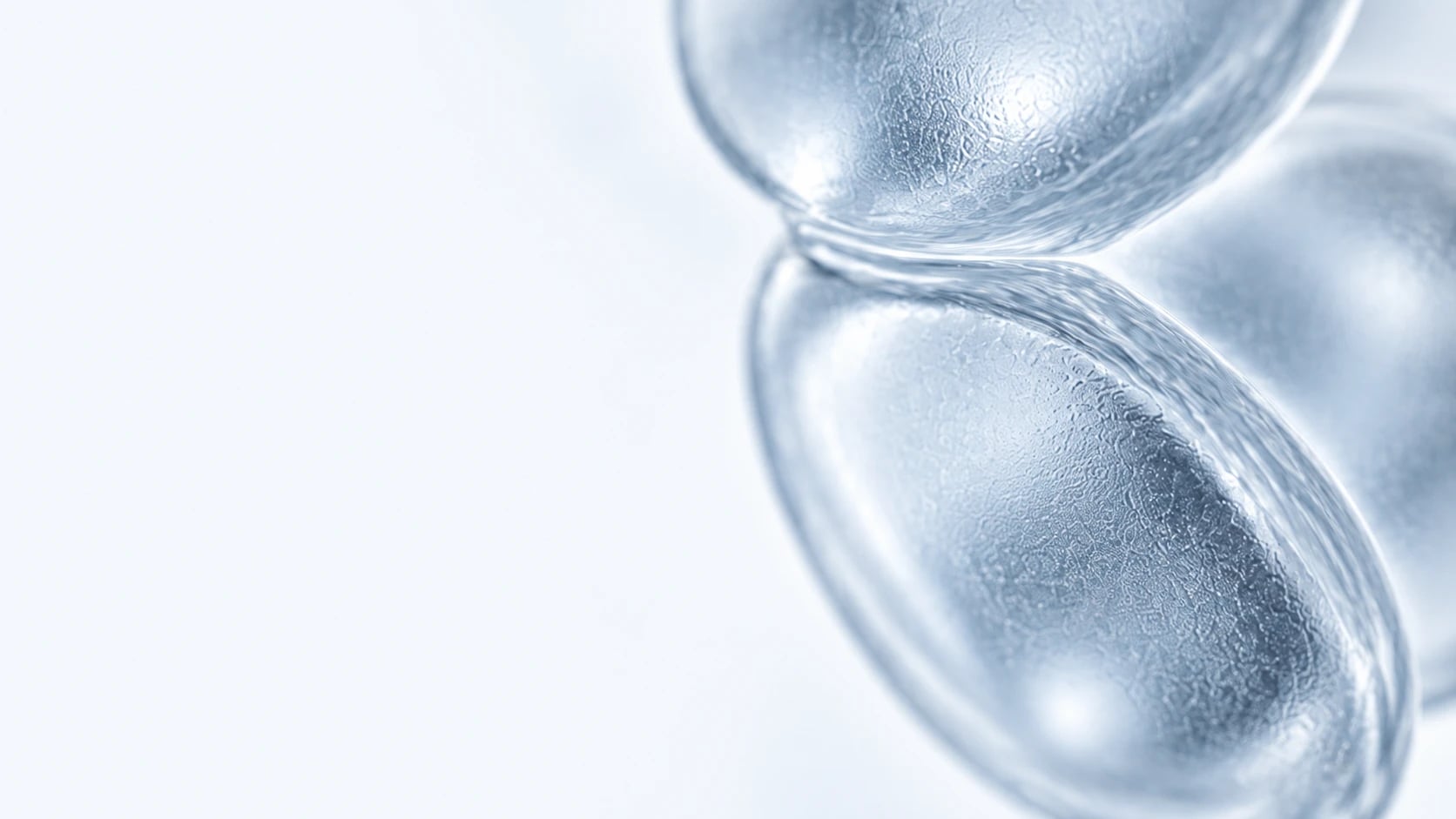 Close view of conceptual islet-cell forms with translucent membranes and delicate surface textures